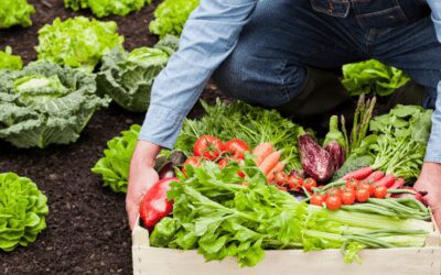 The Benefits of Organic vs. Non Organic Food