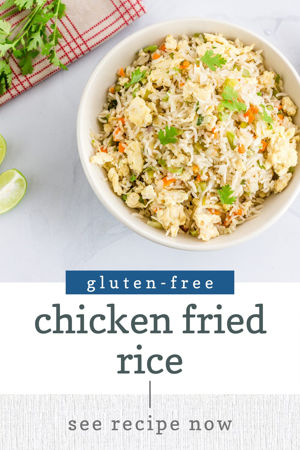 1.12 - Chicken Fried rice